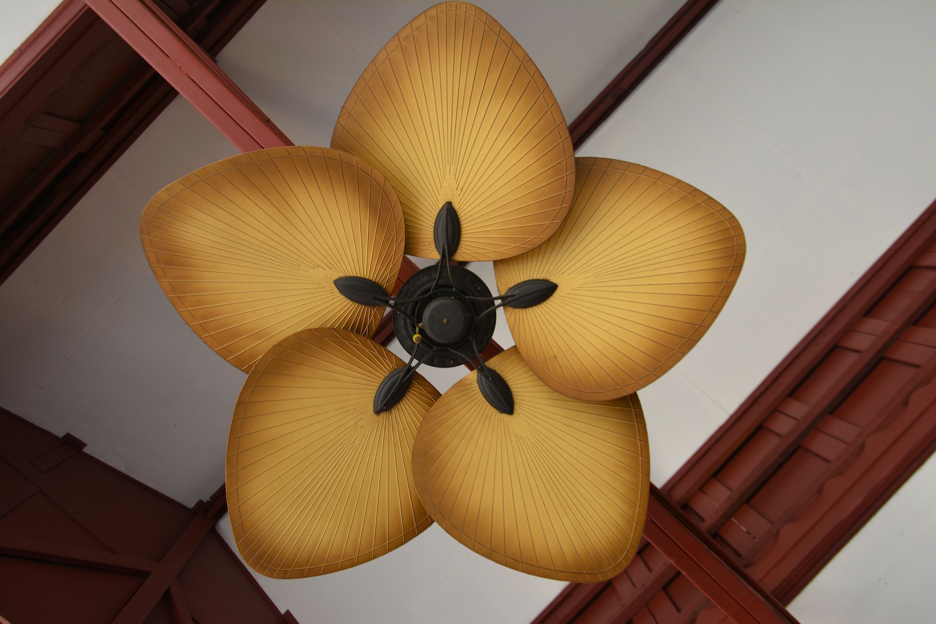 ceiling fans